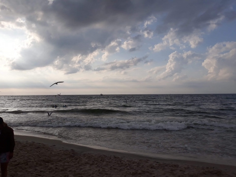 PROJEKT &bdquo;OCALIĆ OD ZAPOMNIENIA&rdquo;