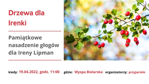 Upamiętnienie: Drzewa dla Irenki Lipman