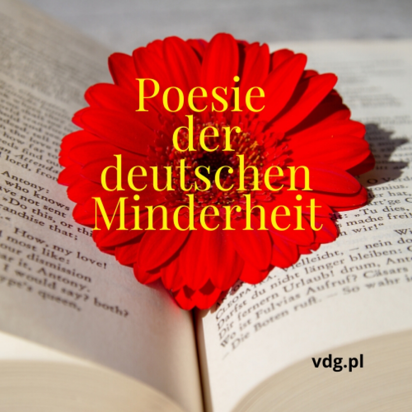 Poesie der deutschen Minderheit - Jo Hannes Schlonsok